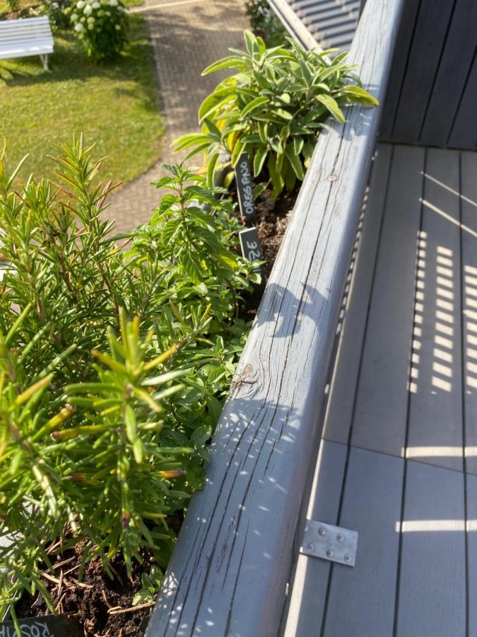 Ferienwohnung Auszeit Bockelnhagen Exteriör bild